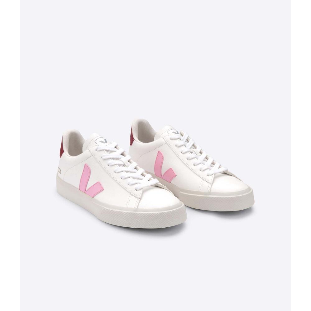 White/Pink Men's Veja CAMPO CHROMEFREE Low Tops Sneakers | AU 193WNB